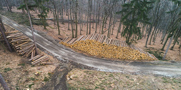 Columbus Helicopter Log Transport